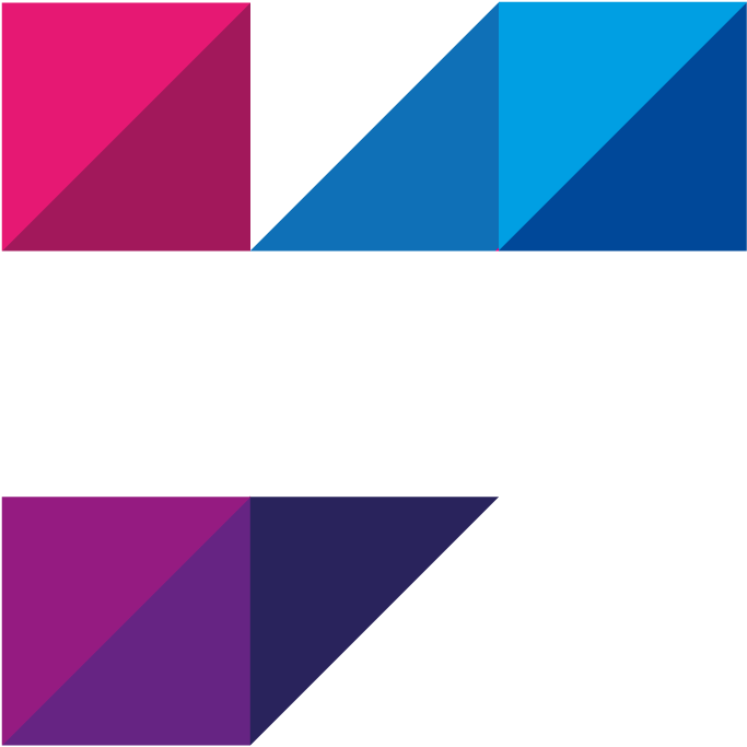 De Vrienden Van Heemskerk logo